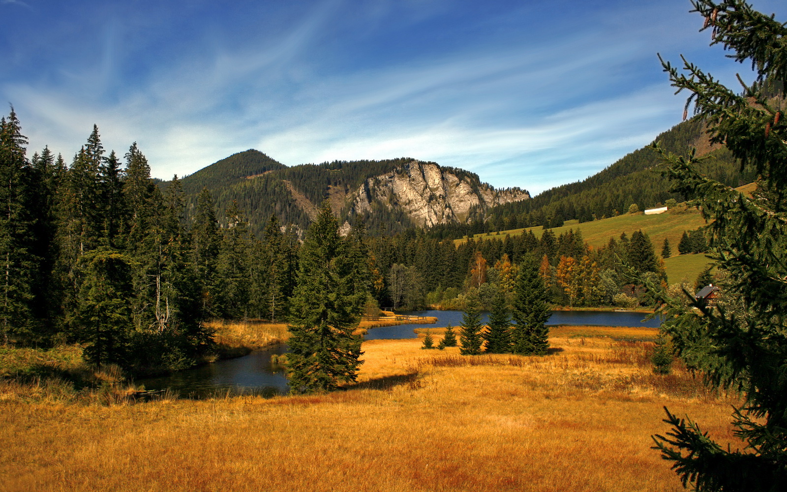 2001年西部决赛:沙奎尔·奥尼尔在对阵太阳的比赛中表现惊人,带领湖人实现逆转,成功晋级总决赛,当赛季夺冠。
