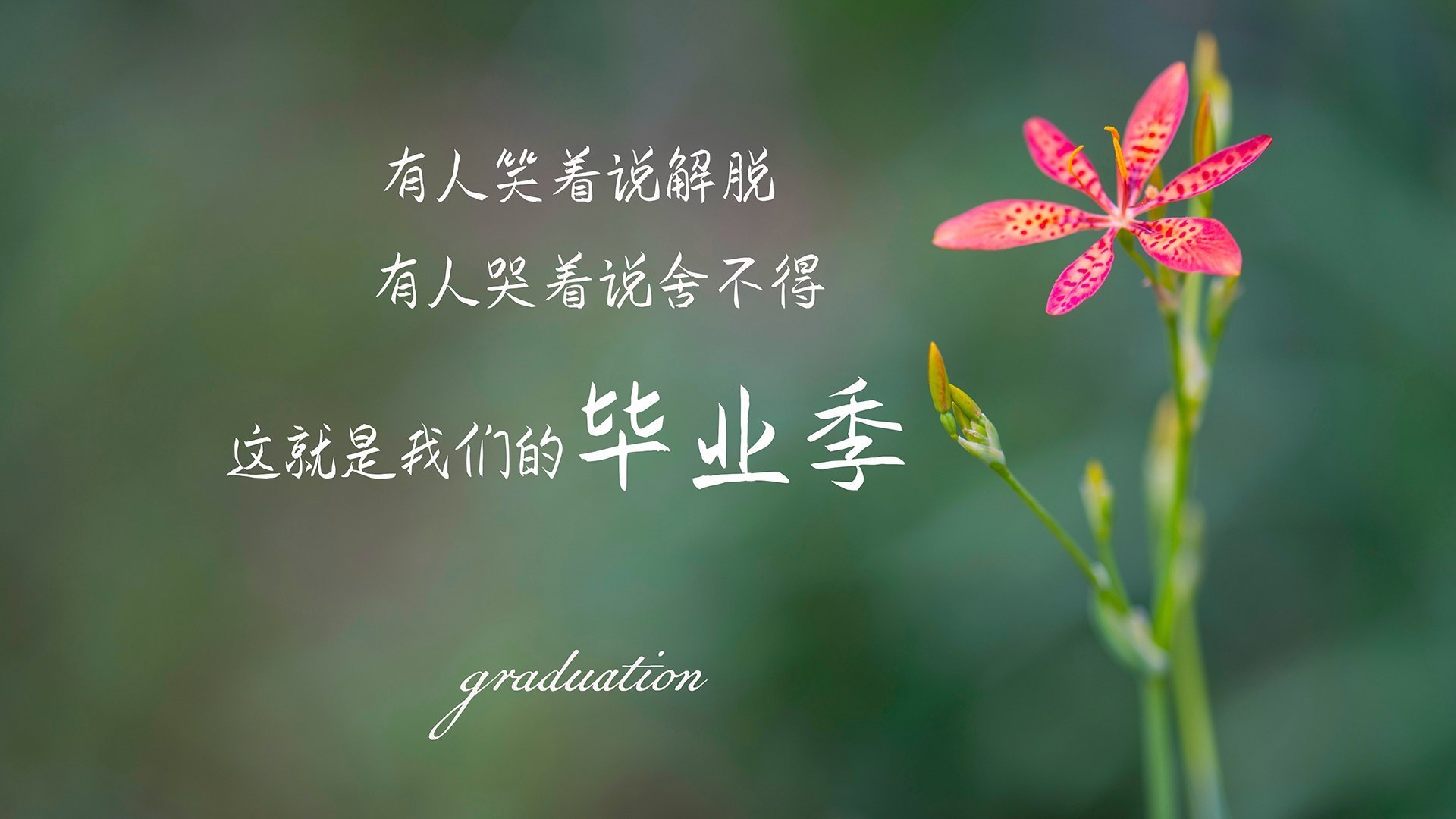 2010年季后赛:雷霆以年轻的阵容奋战,韦斯布鲁克多次“黑马”表现惊艳全场。