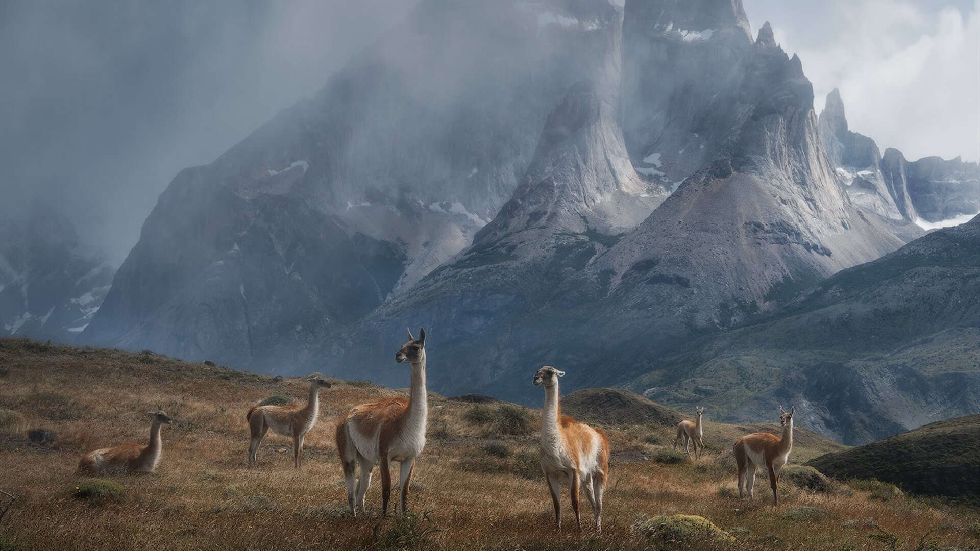 2010年季后赛:雷霆以年轻的阵容奋战,韦斯布鲁克多次“黑马”表现惊艳全场。